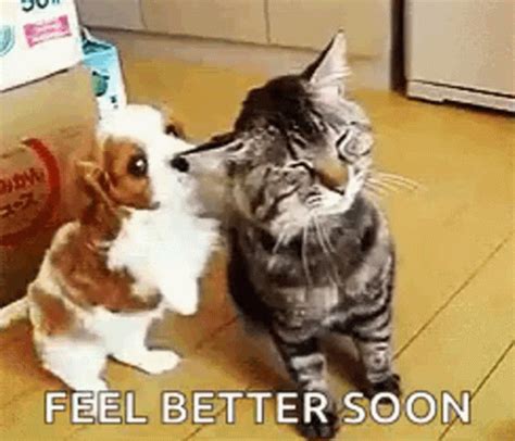 Feel better funny gif - Explore and share the best Get-well-soon GIFs and most popular animated GIFs here on GIPHY. Find Funny GIFs, Cute GIFs, Reaction GIFs and more.